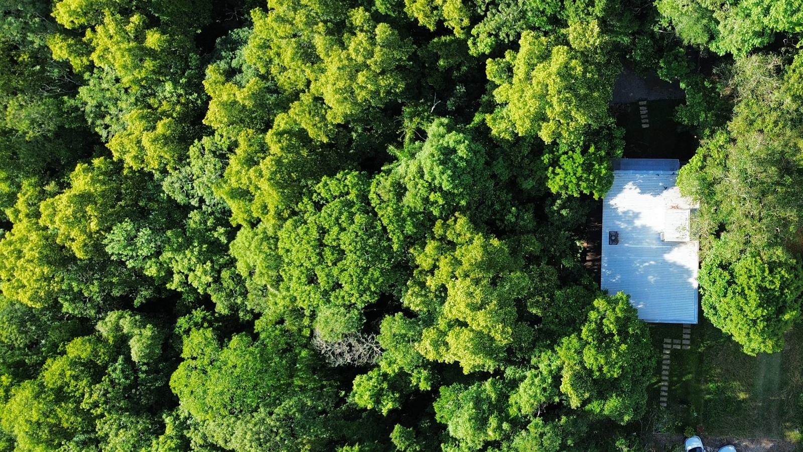 Vista aérea da Casa 235 inserida em uma área de vegetação densa